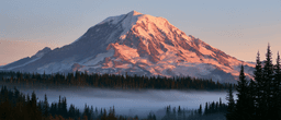 Rainier floorplan